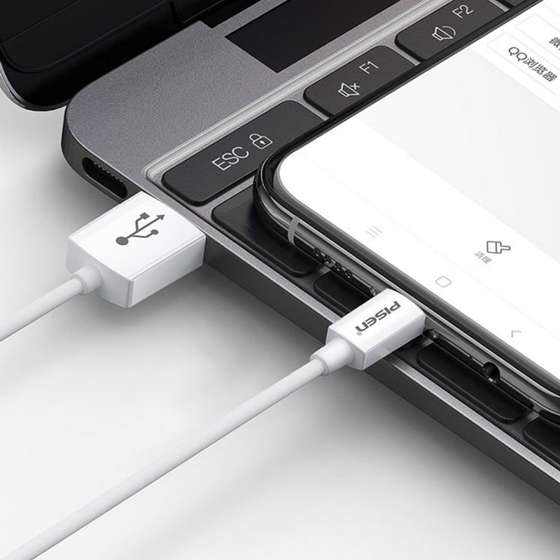 Mr White USB-A to USB-C Cable 1m PISEN Charging & Sync Cable, White (TC25-1000) - Pro iPhone Repair